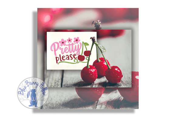 Pretty Please: An Embroidery Designer's Perspective